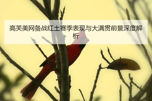 高芙美网备战红土赛季表现与大满贯前景深度解析