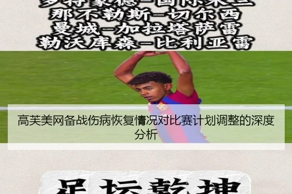 高芙美网备战伤病恢复情况对比赛计划调整的深度分析